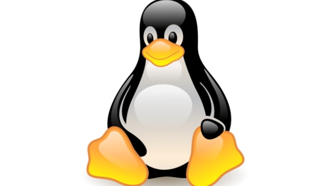 Linux. pingüino