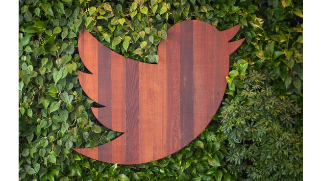 twitter-logo madera