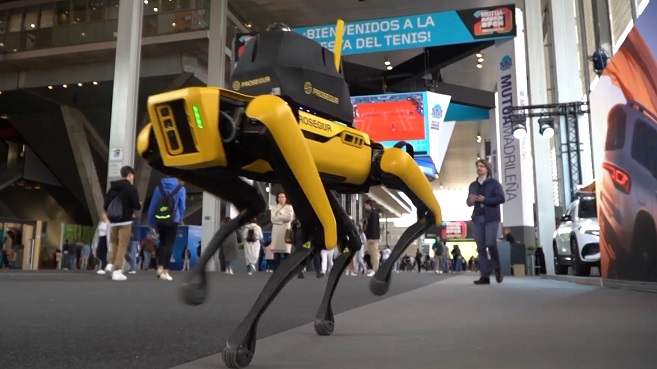Así es "Yellow" el perro robot que vigila en el Mutua Madrid Open